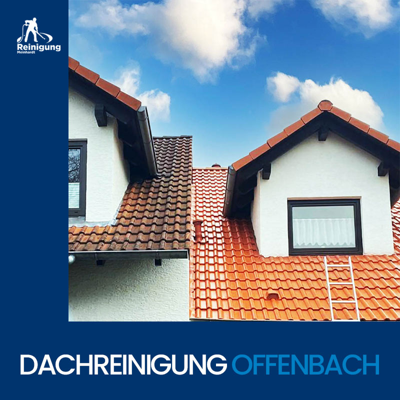 Dachreinigung in Offenbach