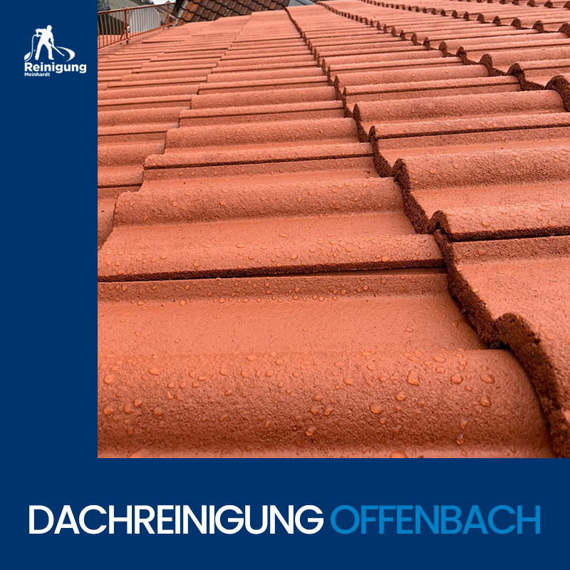 Dachreinigung-Offenbach-Meinhardt-4