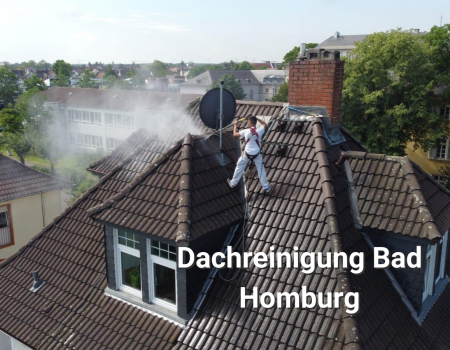 Dachreinigung-Bad-Homburg-Meinhardt